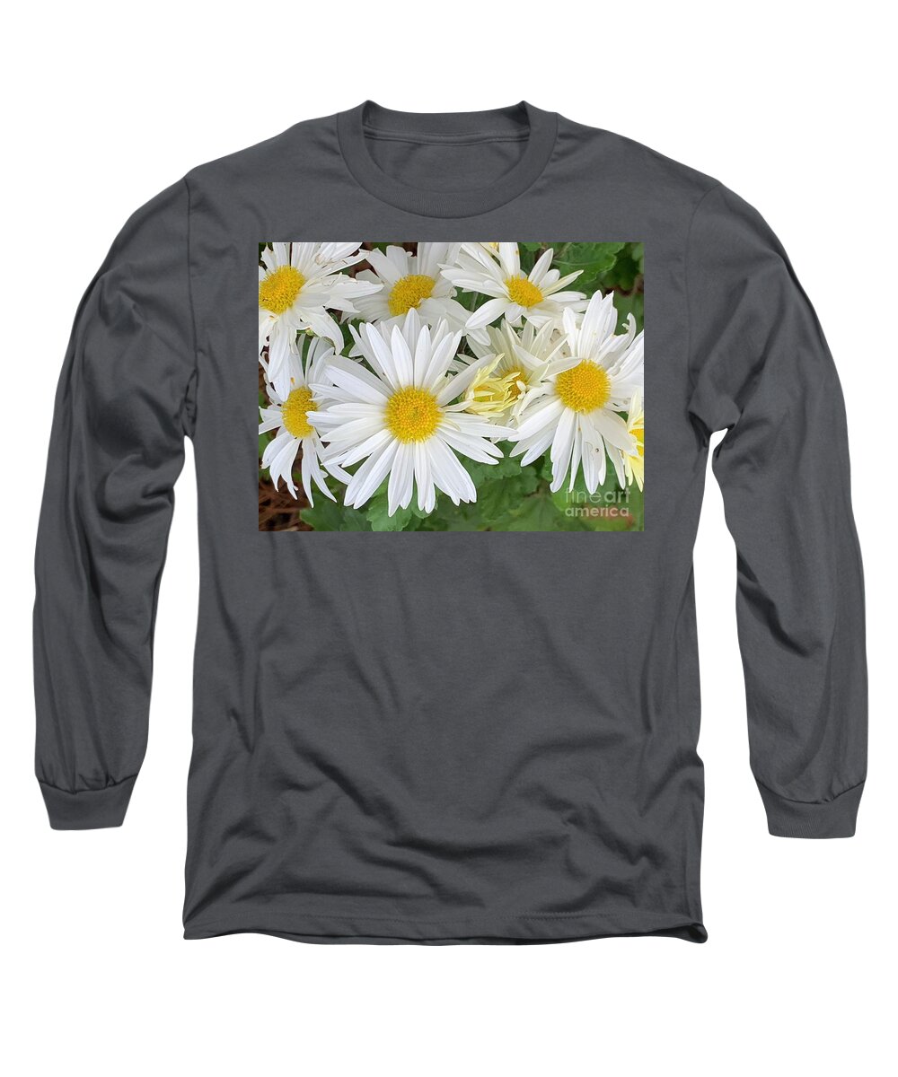 Daisy Long Sleeve T-Shirt featuring the photograph Daisy Flowers by Catherine Wilson