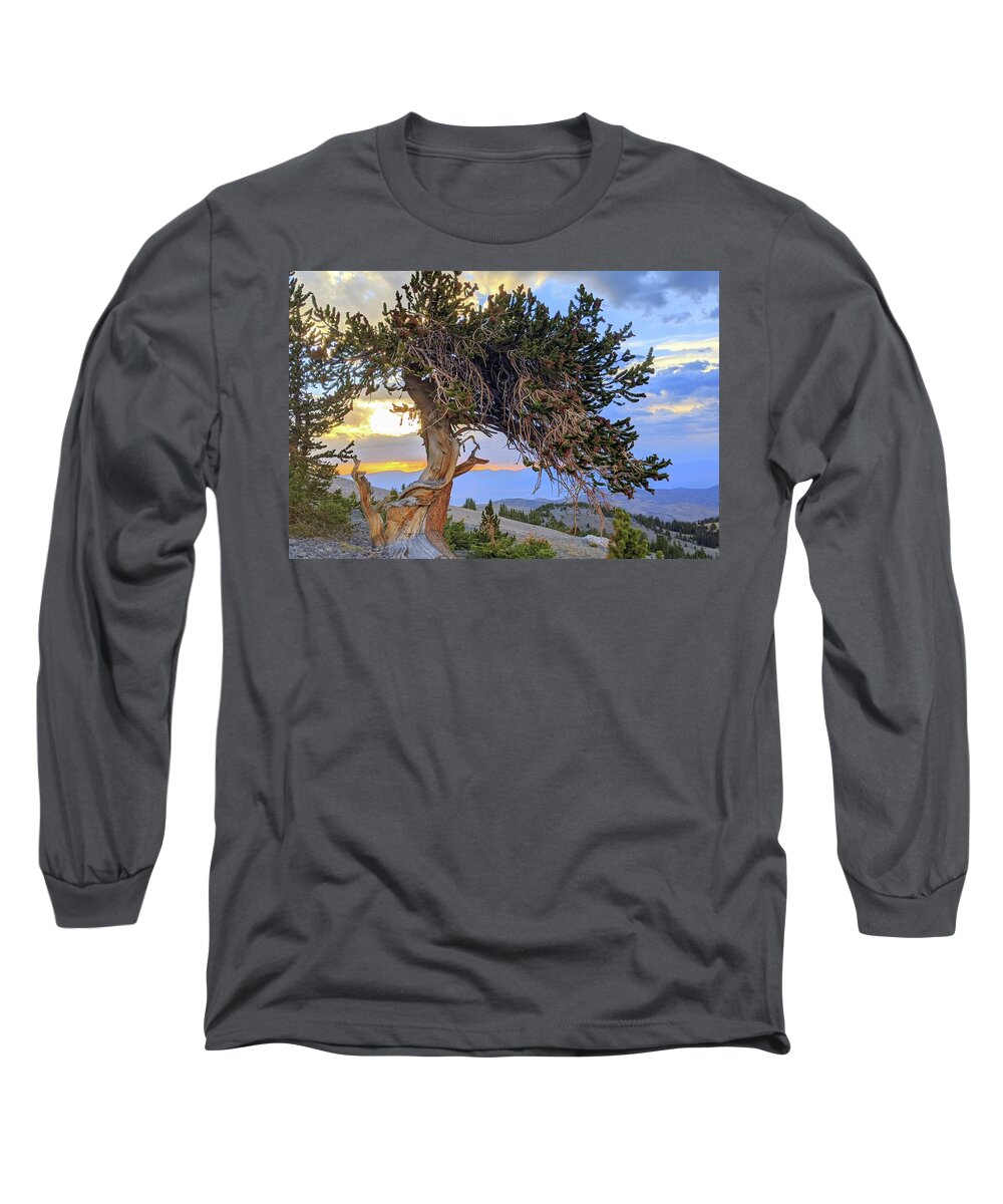 Bristlecone Long Sleeve T-Shirt featuring the photograph Dancing Bristlecone by Gretchen Baker