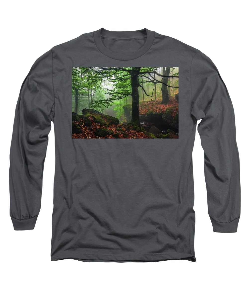 Fog Long Sleeve T-Shirt featuring the photograph Dark Forest by Evgeni Dinev