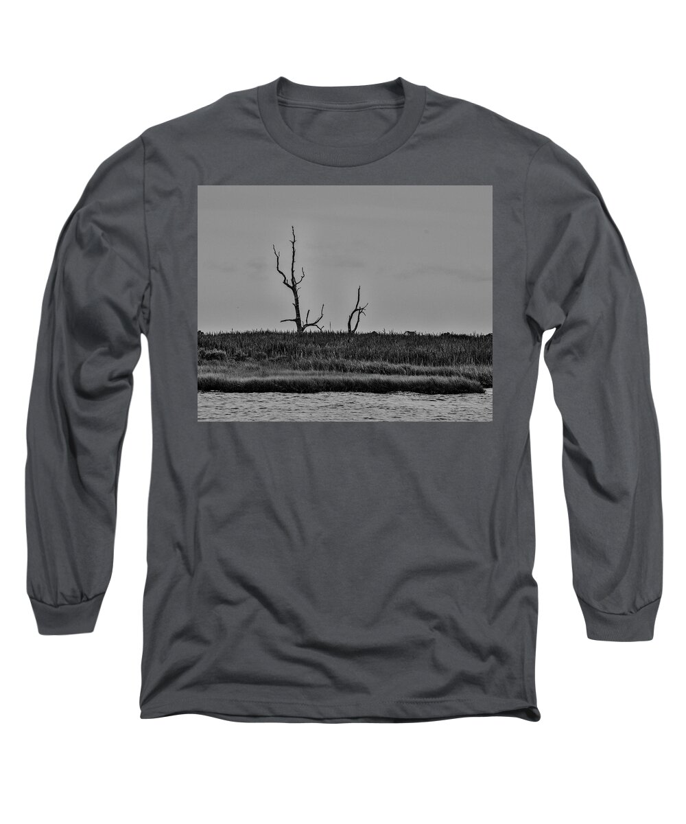 Trees Long Sleeve T-Shirt featuring the photograph Dead Trees on the Forked River by Alan Goldberg