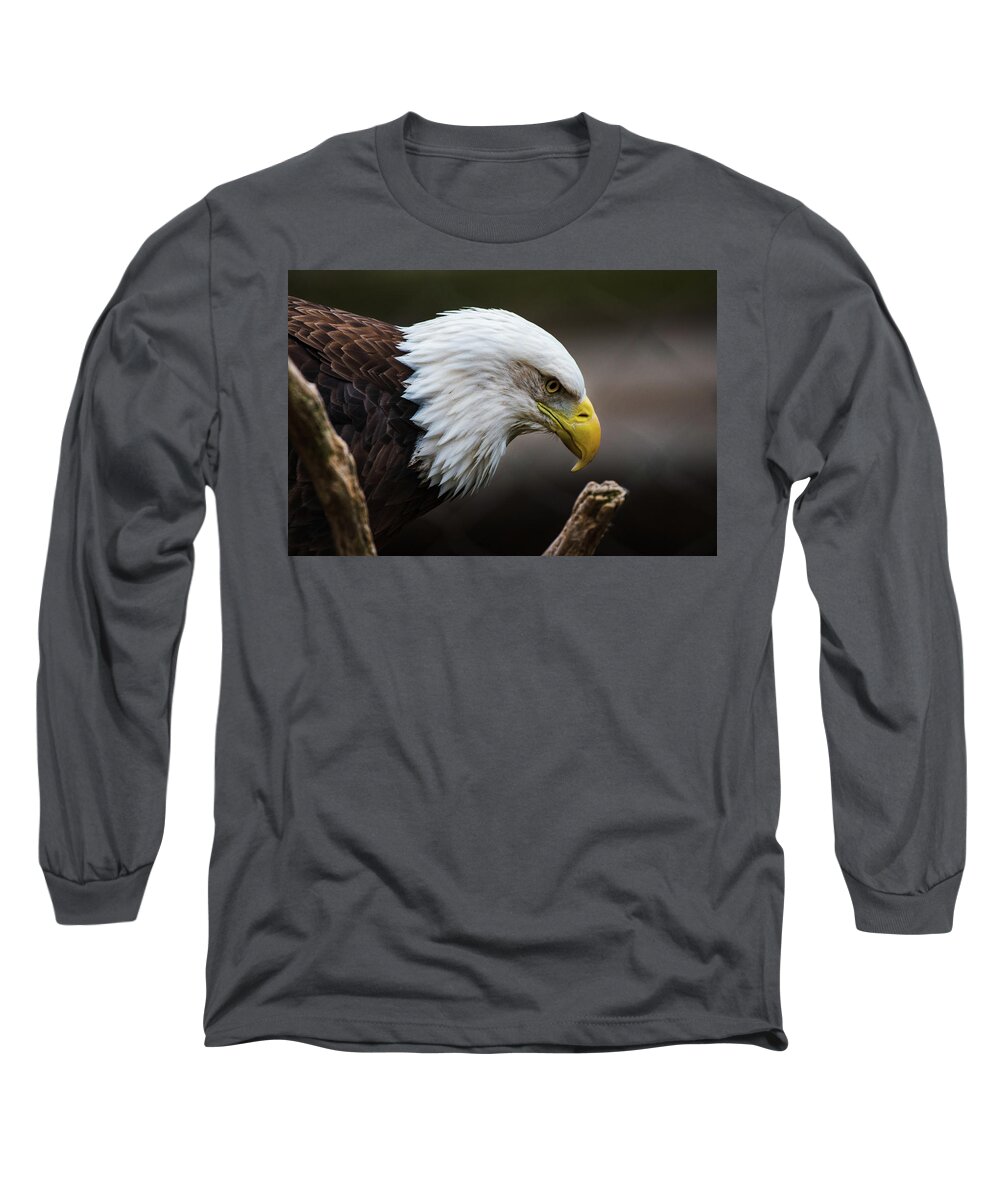 Bald Eagle Long Sleeve T-Shirt featuring the photograph Deep in Thought by Rose Guinther