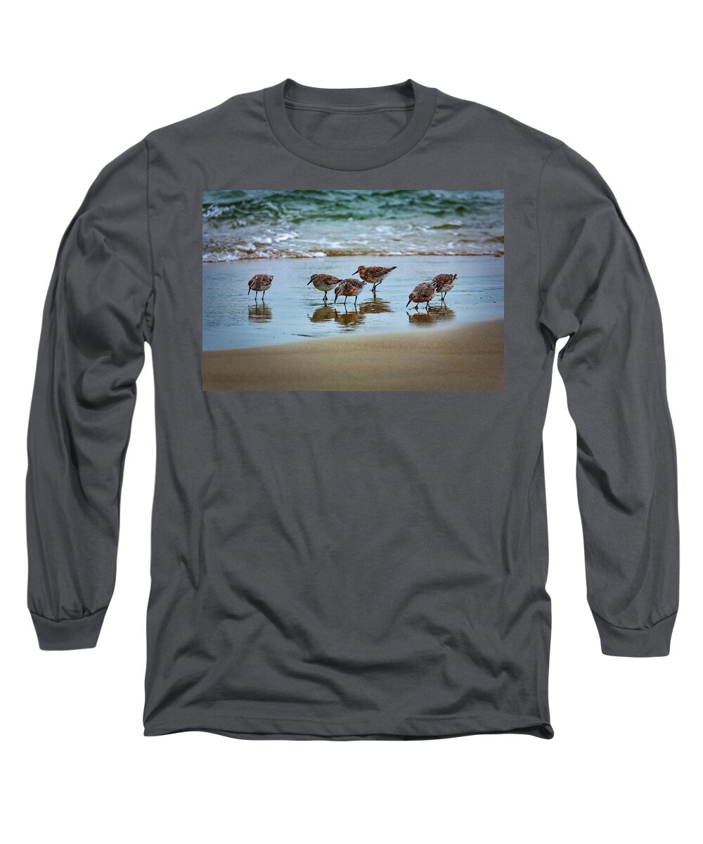 North Carolina Long Sleeve T-Shirt featuring the photograph Digging for Food by Dan Carmichael