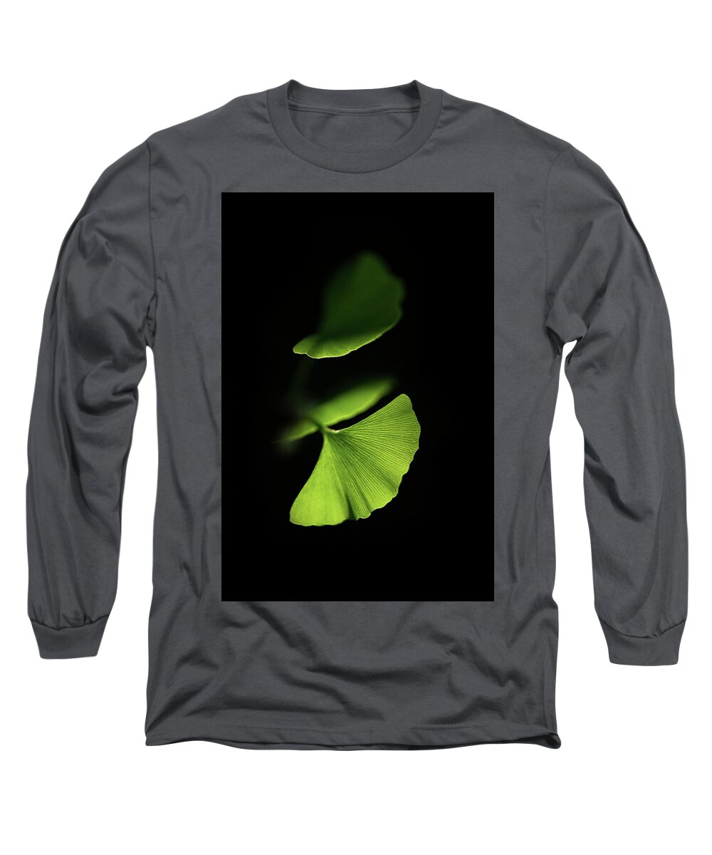 Leaves Long Sleeve T-Shirt featuring the photograph Discretion by Philippe Sainte-Laudy