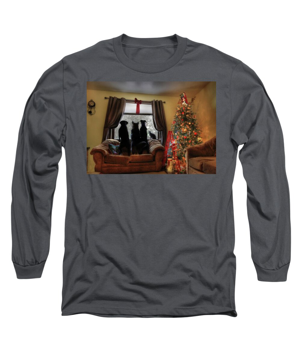 Christmas Long Sleeve T-Shirt featuring the photograph Do You Hear What I Hear by Lori Deiter
