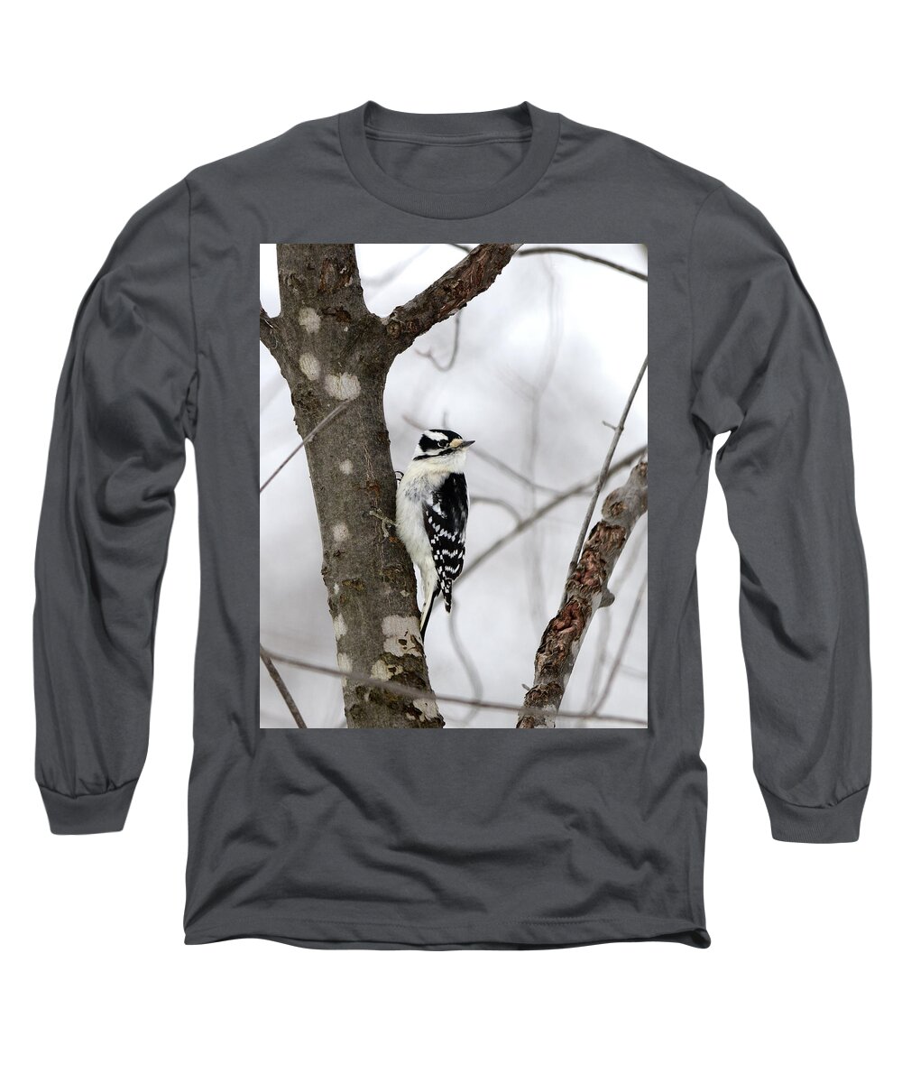 Outdoor Long Sleeve T-Shirt featuring the photograph Downy Woodpecker- Eastern female by David Porteus