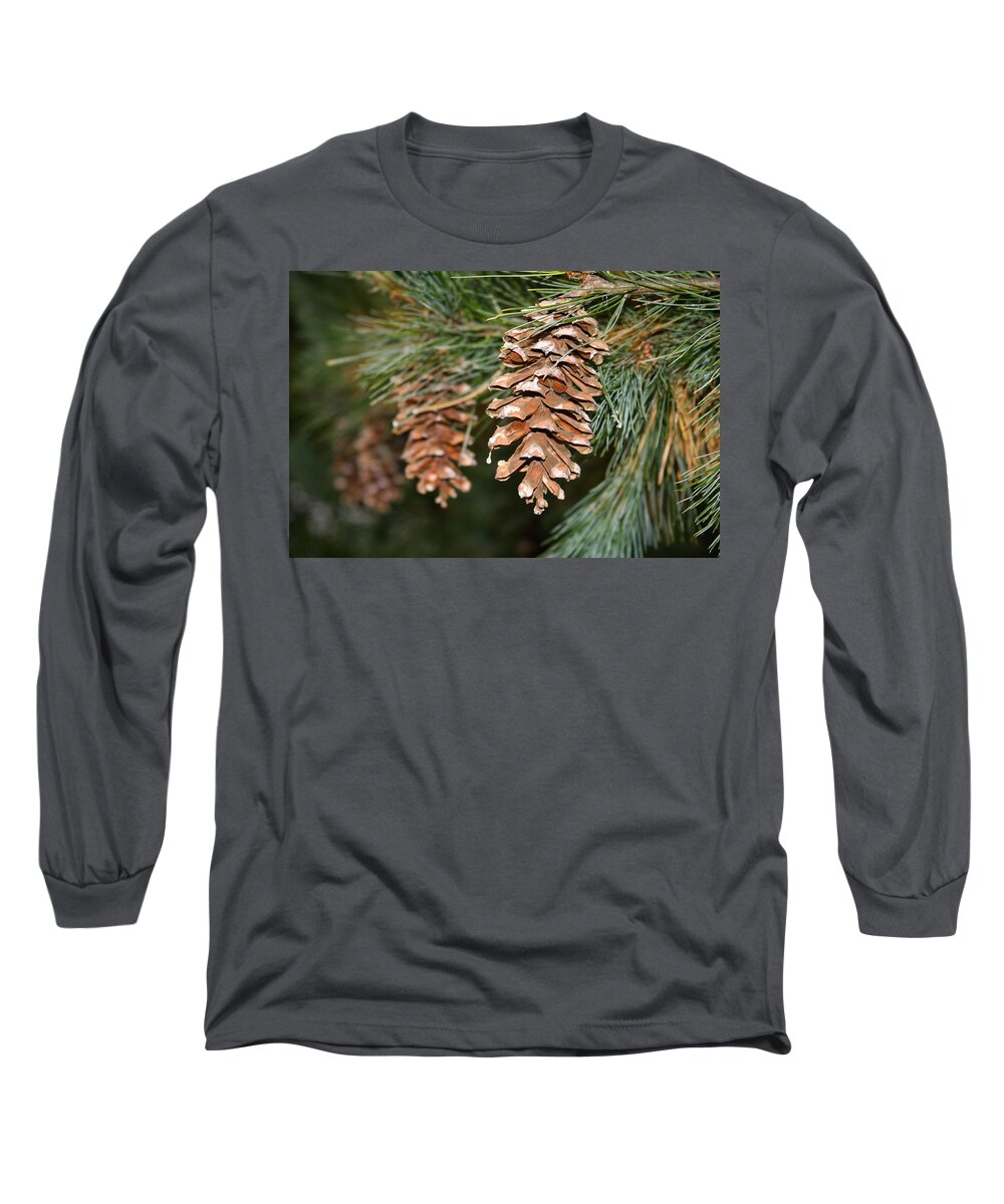 Pine Long Sleeve T-Shirt featuring the photograph Dripping with Sap by Bonny Puckett