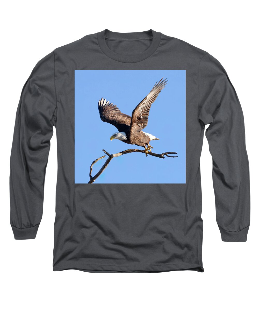 Eagle Long Sleeve T-Shirt featuring the photograph Eagle Leaving Perch by Flinn Hackett