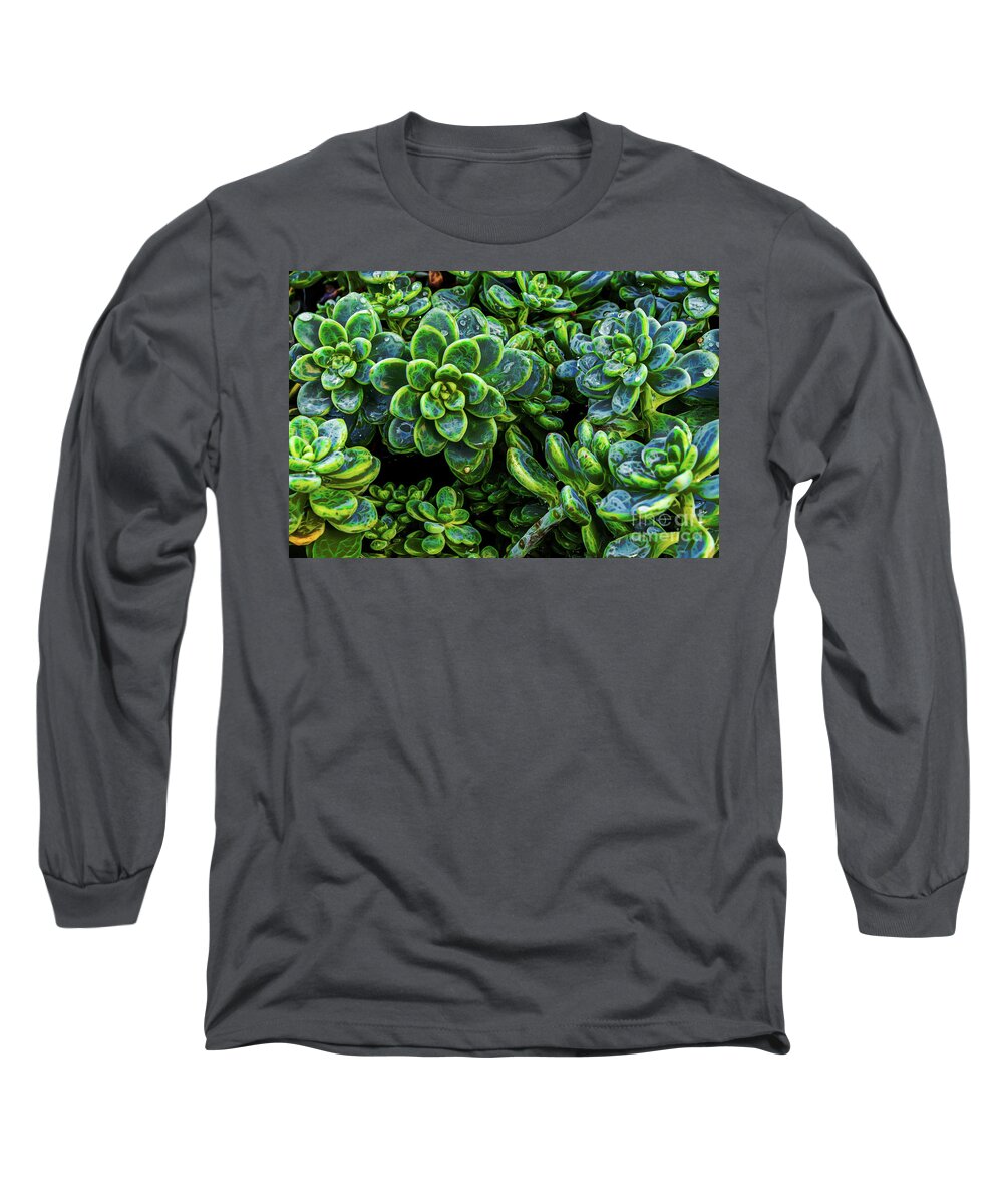 Digitally Long Sleeve T-Shirt featuring the photograph Echeveria Succulent with Raindrops by Roslyn Wilkins