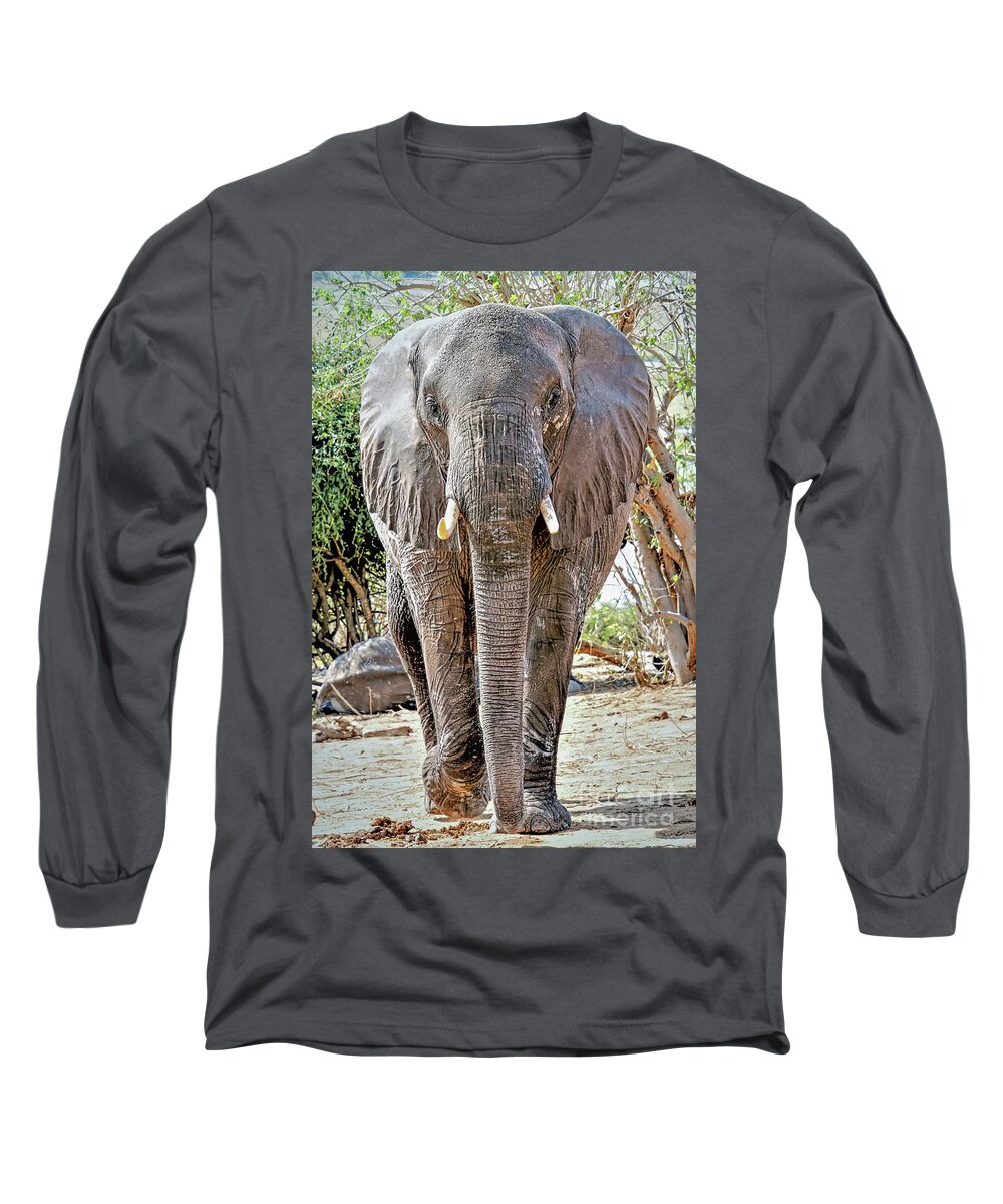 Wildlife Long Sleeve T-Shirt featuring the photograph Elephant Approaches by Tom Watkins PVminer pixs