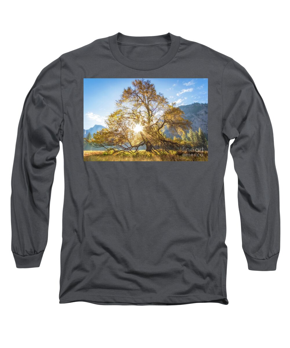 Tree Long Sleeve T-Shirt featuring the photograph Elm Tree by Vincent Bonafede
