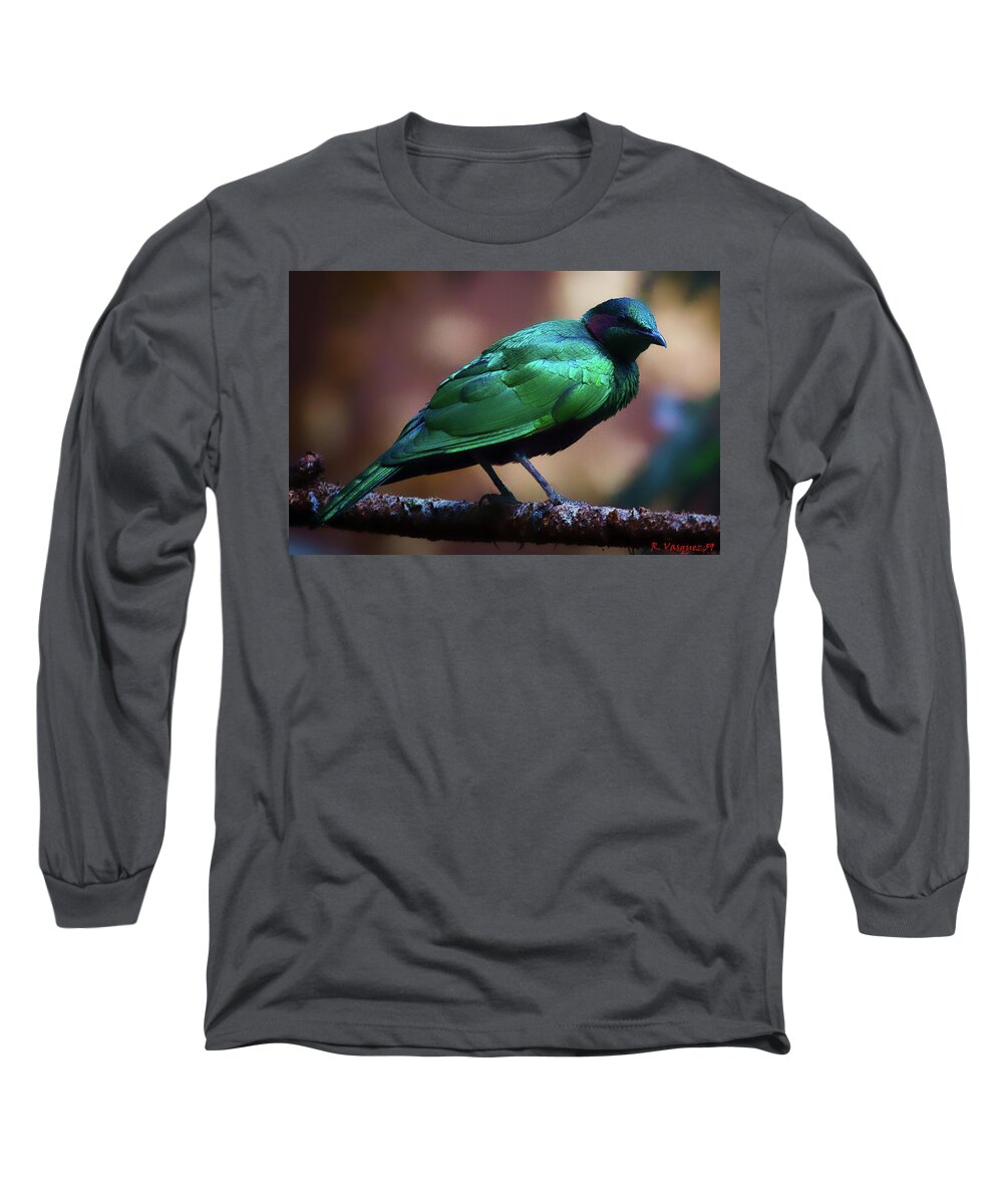 Bird Long Sleeve T-Shirt featuring the photograph Emerald Starling by Rene Vasquez