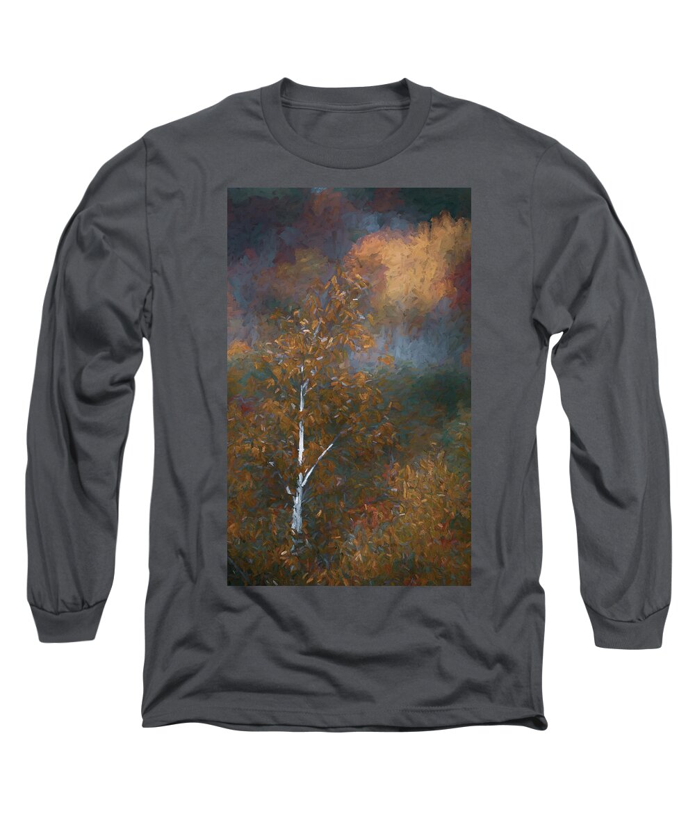 Landscape Long Sleeve T-Shirt featuring the digital art Essence of Autumn2 by Karen Jensen