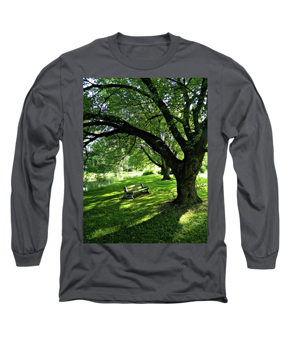 Facing The Willow Long Sleeve T-Shirt featuring the photograph Facing The Willow by Cyryn Fyrcyd
