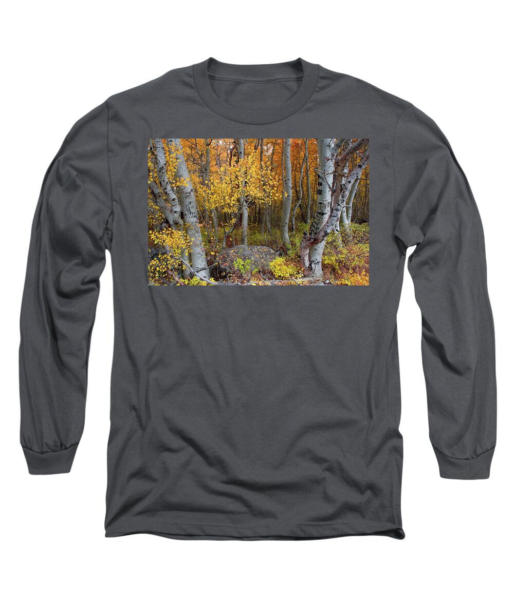 Fall Long Sleeve T-Shirt featuring the photograph Fall Aspen Grove - Graffiti - Lovers' Initials by Bonnie Colgan
