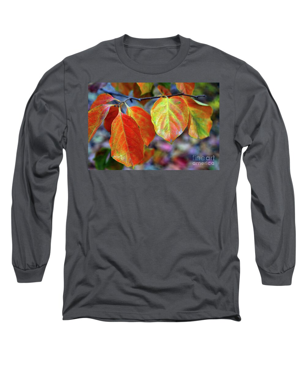 Leaves Long Sleeve T-Shirt featuring the photograph Fall Leaves by Vivian Krug Cotton