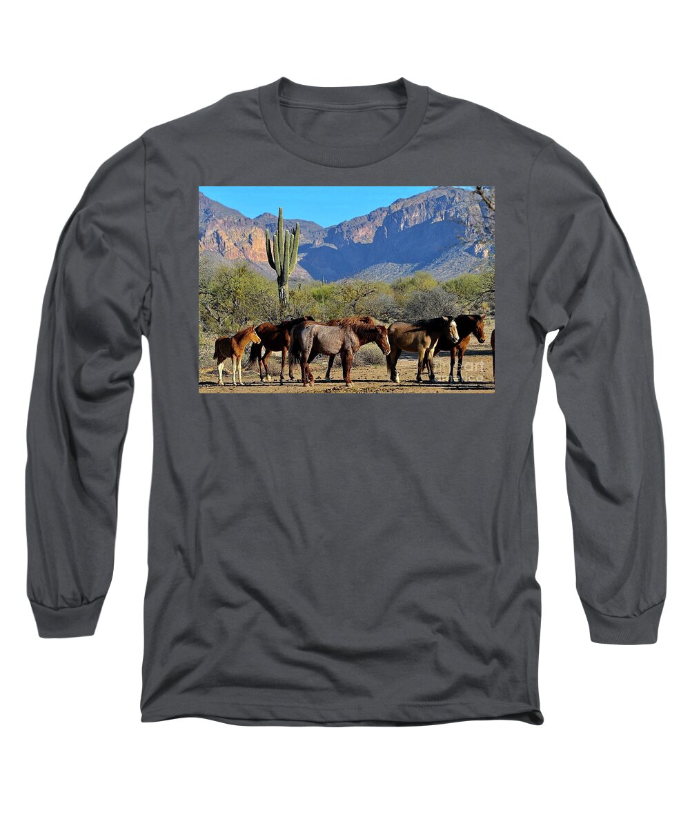 Salt River Wild Horse Long Sleeve T-Shirt featuring the digital art Family by Tammy Keyes