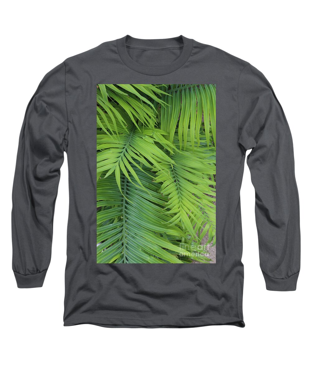 Green Long Sleeve T-Shirt featuring the photograph Ferns by Neala McCarten