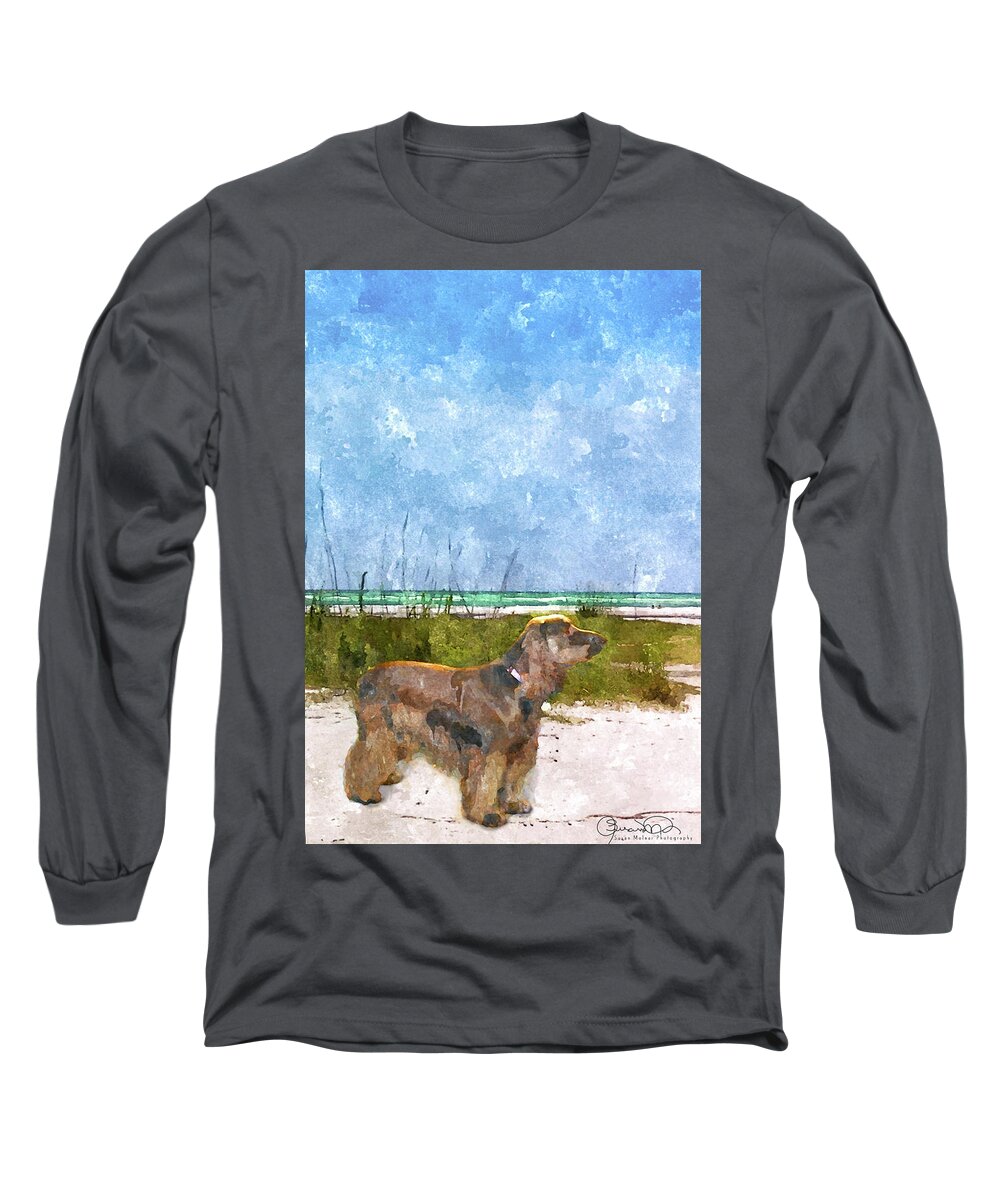 Susan Molnar Long Sleeve T-Shirt featuring the photograph Field Spaniel Elegance by Susan Molnar