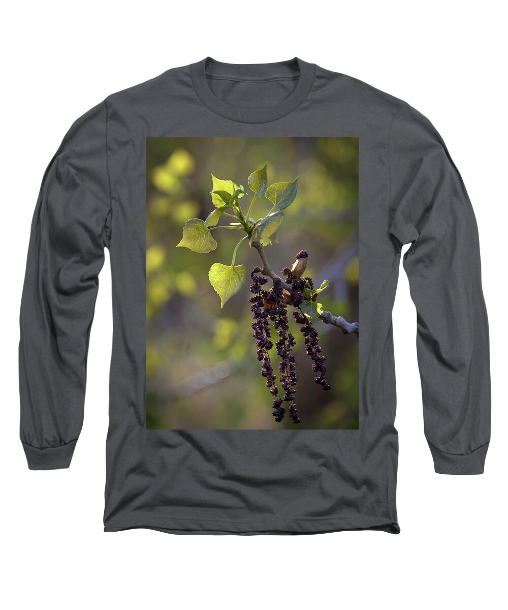 Cottonwood Long Sleeve T-Shirt featuring the photograph First Leaves of Spring by Mary Lee Dereske