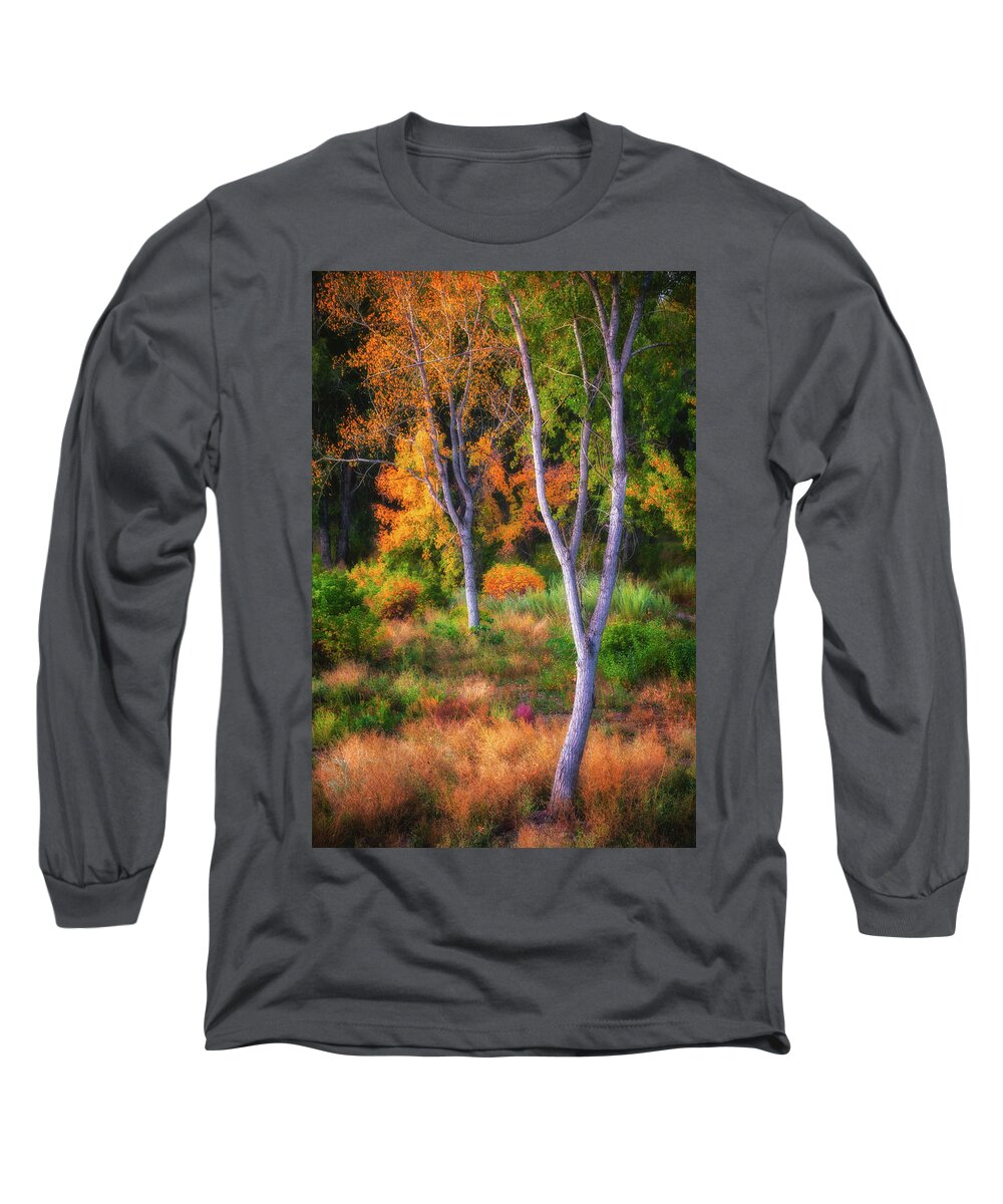 Fall Long Sleeve T-Shirt featuring the photograph Flavors of the Forest by Darren White
