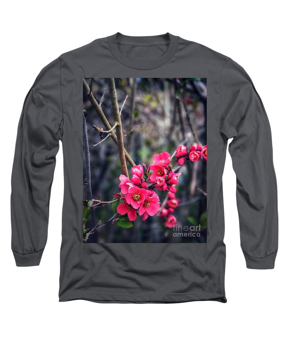 Flower Long Sleeve T-Shirt featuring the photograph Flowering Quince by Claudia Zahnd-Prezioso