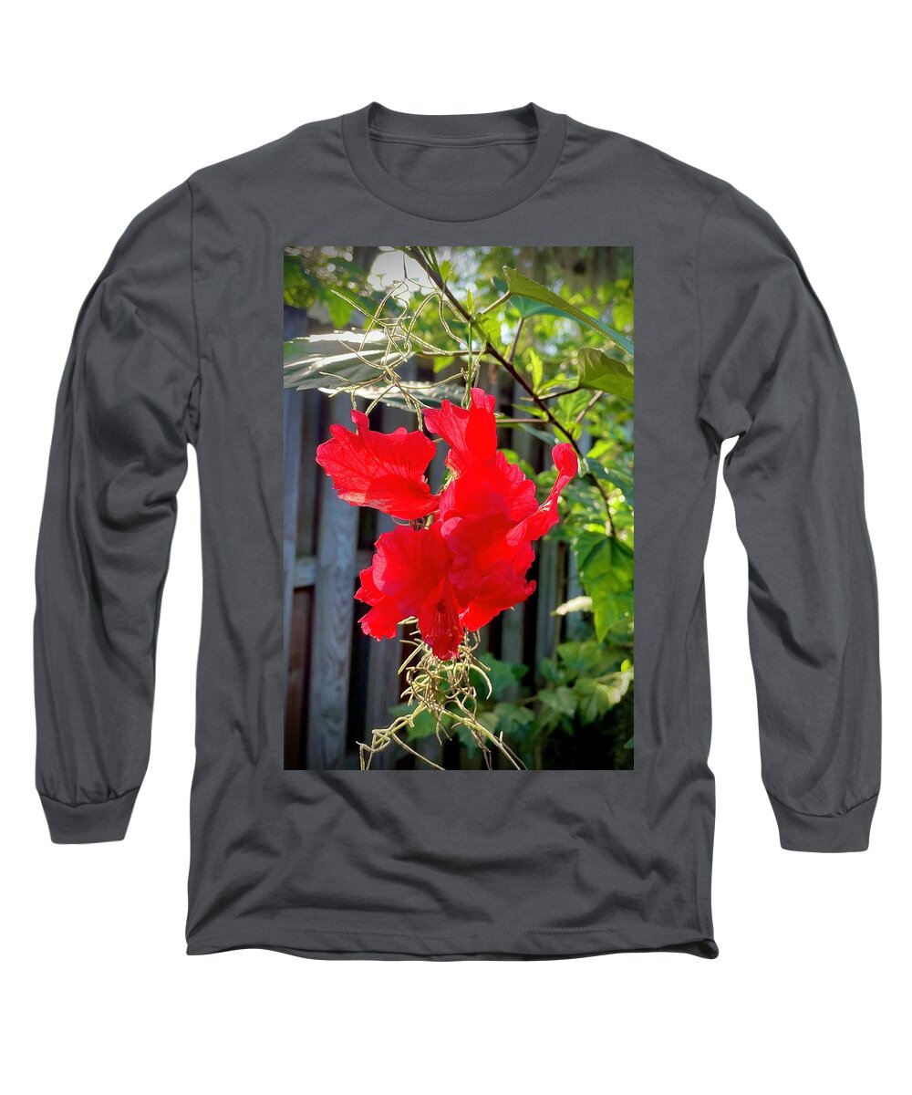 Flowers St Augustine Florida Usa John Anderson Long Sleeve T-Shirt featuring the photograph Flowers by John Anderson