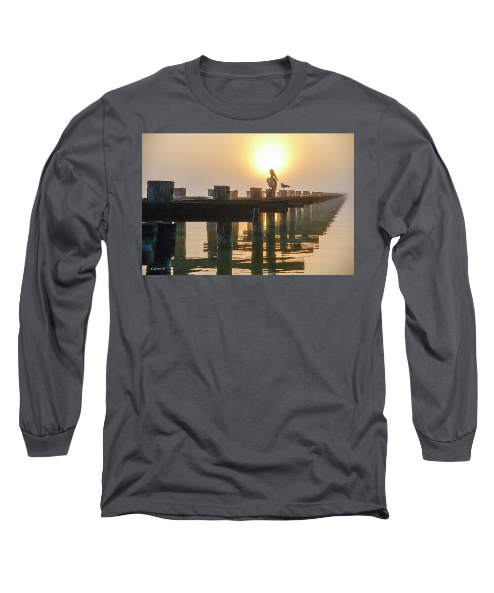 Pelican Long Sleeve T-Shirt featuring the photograph Foggy Coastline by Christopher Rice