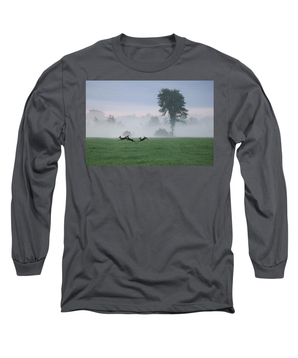 Whitetail Deer Long Sleeve T-Shirt featuring the photograph Foggy Fawns by Brook Burling