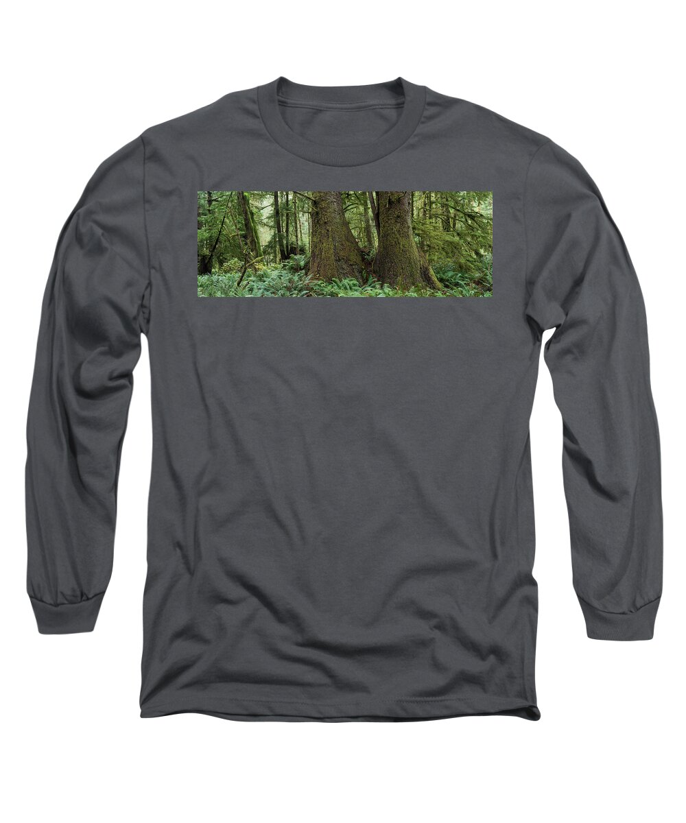 Autumn Long Sleeve T-Shirt featuring the photograph Forest Panorama by Robert Potts