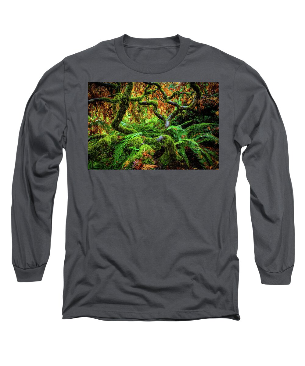 5dsr Long Sleeve T-Shirt featuring the photograph Forever Green by Edgars Erglis
