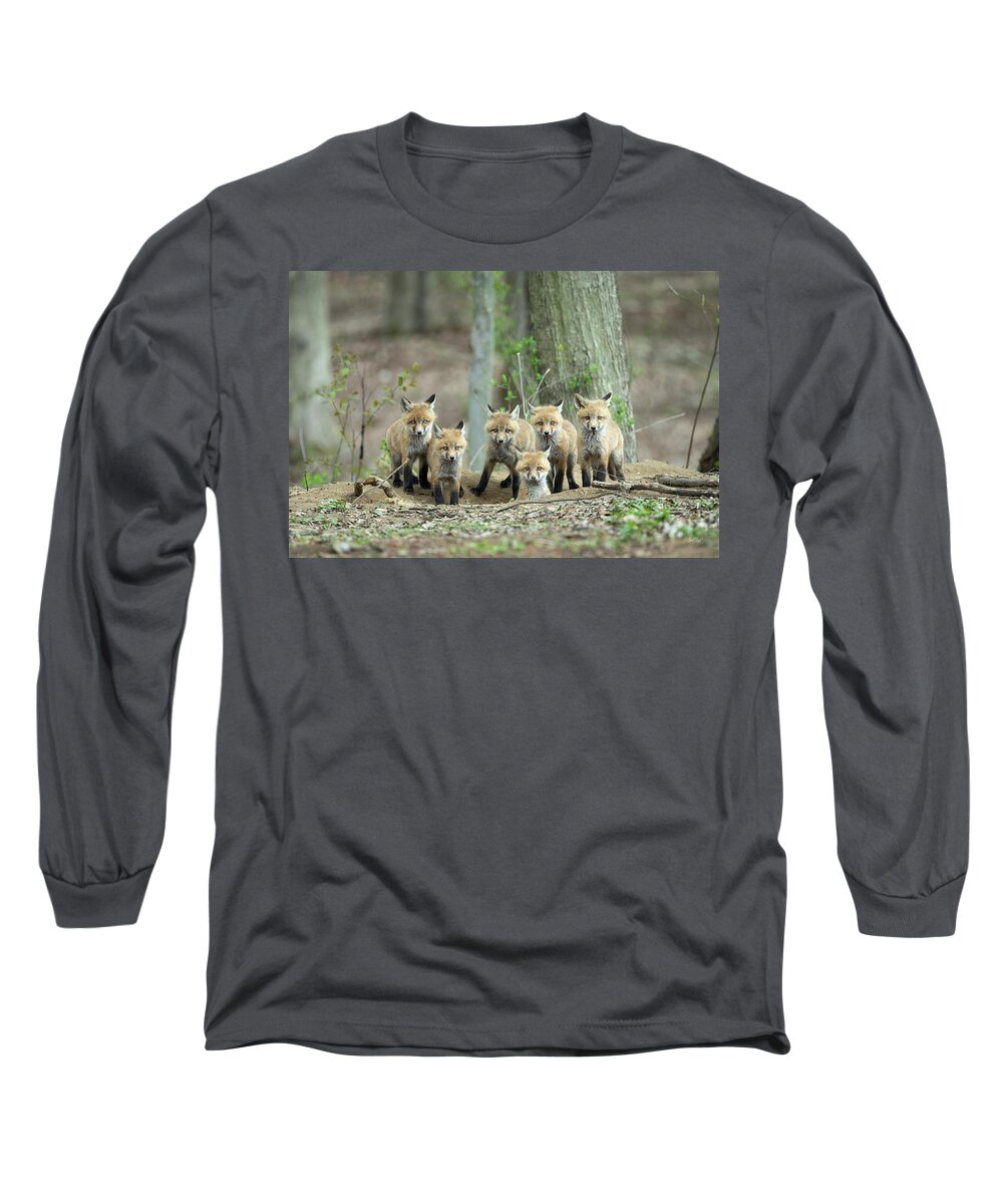 Fox Long Sleeve T-Shirt featuring the photograph Fox Family Portrait by Everet Regal