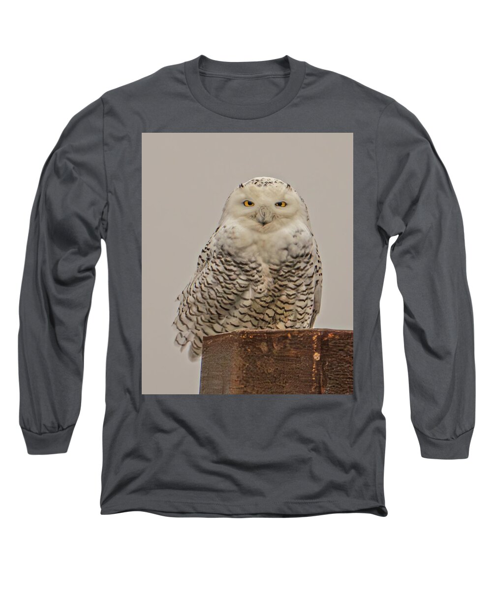 Owl Long Sleeve T-Shirt featuring the photograph Fredrick 5 by Paul Brooks