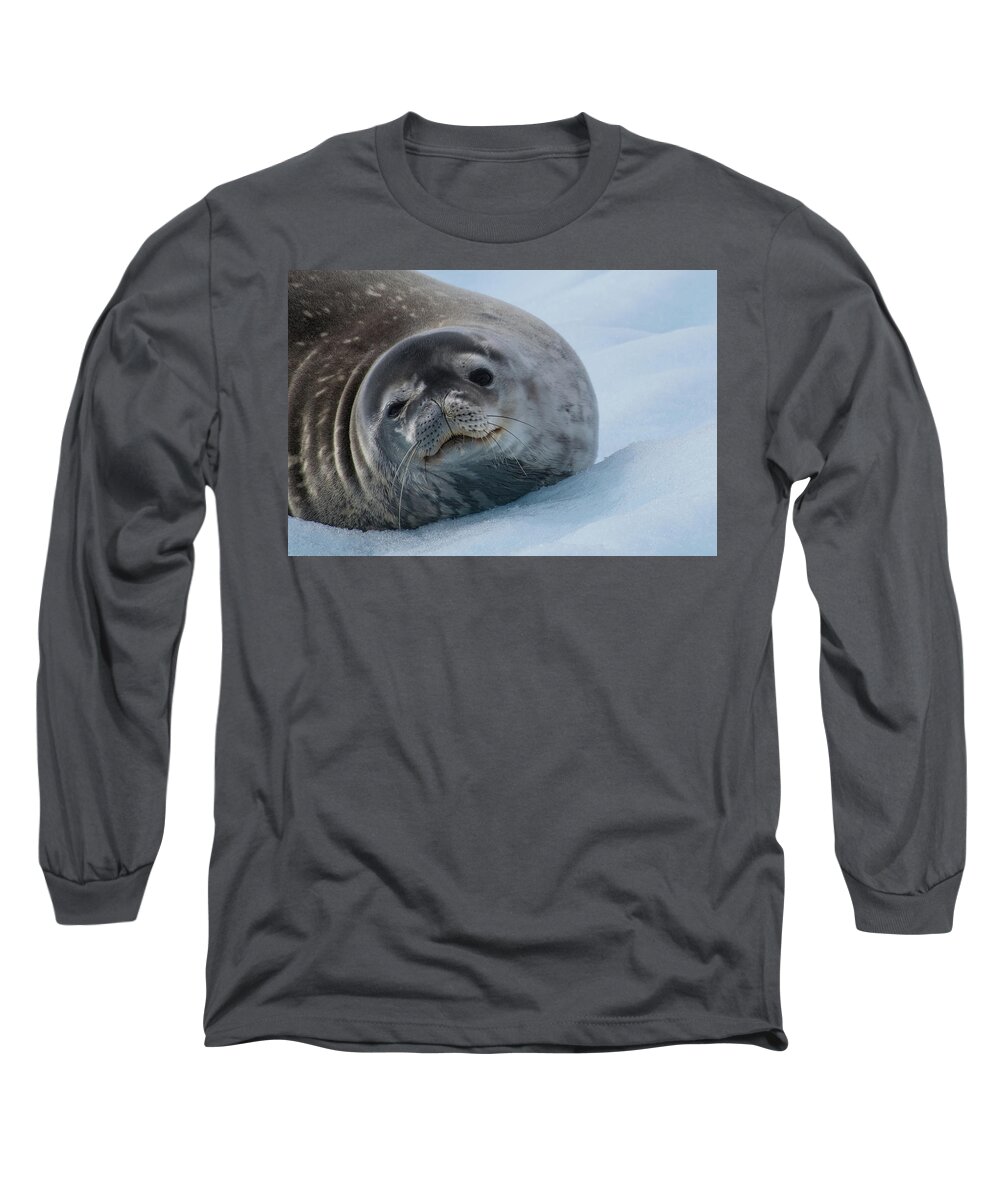 Seal. Sea Lion Long Sleeve T-Shirt featuring the photograph Friendly Weddell Seal by Linda Villers