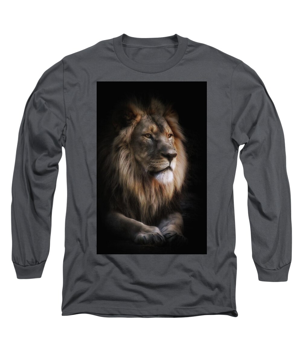 African Lions Long Sleeve T-Shirt featuring the photograph From Out of the Darkness by Elaine Malott