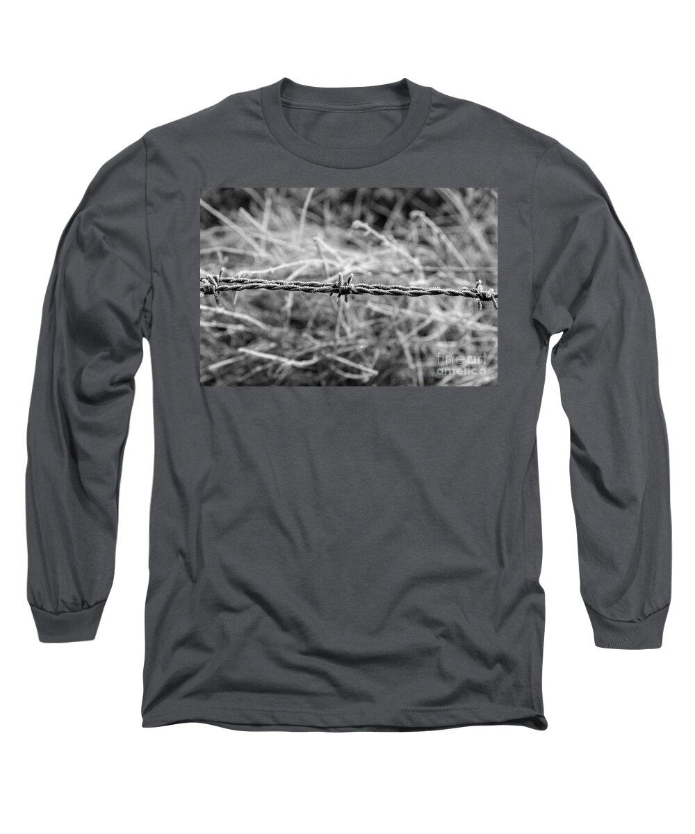 Barbed Long Sleeve T-Shirt featuring the photograph Frosty Barbs by Daniel M Walsh