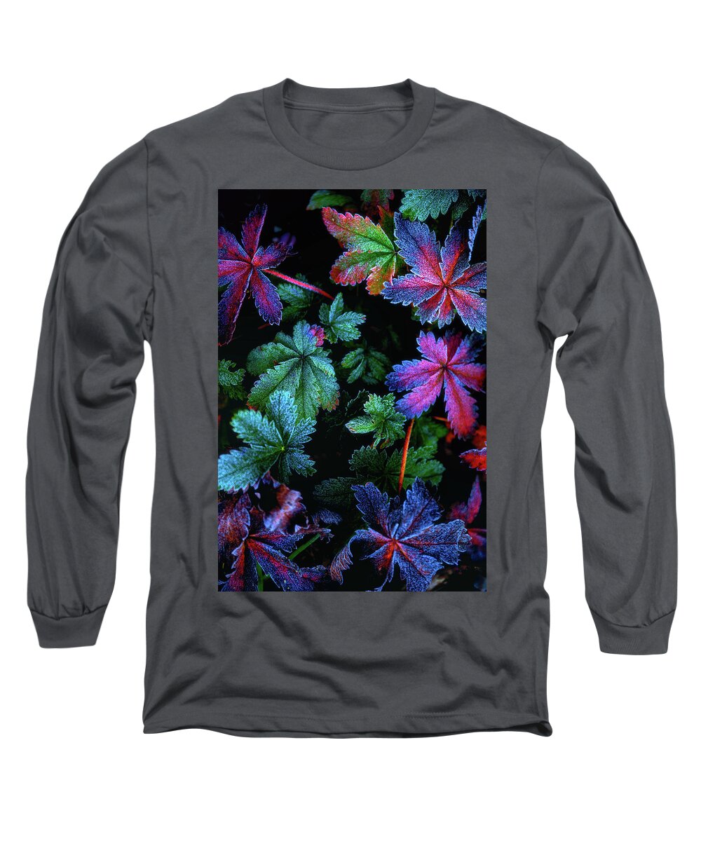 Frost Long Sleeve T-Shirt featuring the photograph Frosty Fall by Darren White