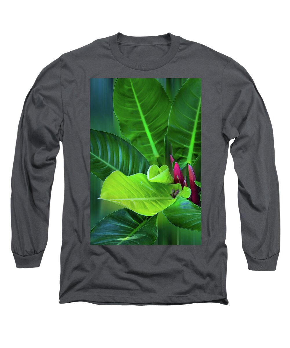 Philodendron Long Sleeve T-Shirt featuring the photograph Garden Botanicals VIII by Debra and Dave Vanderlaan