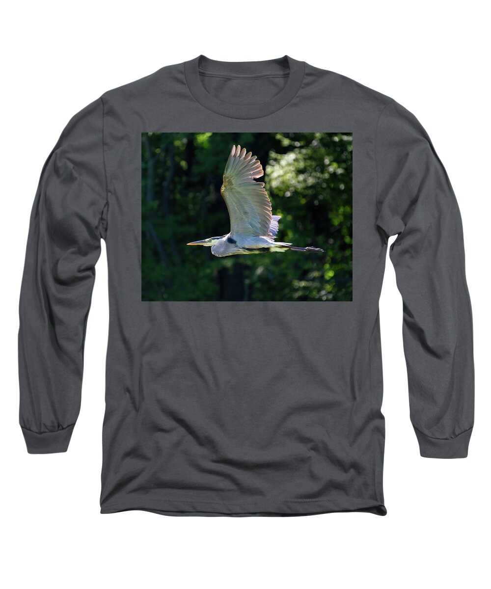 Heron Long Sleeve T-Shirt featuring the photograph GBH Flying Low 3 by Flinn Hackett