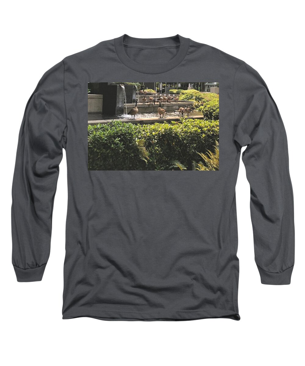 Geese Long Sleeve T-Shirt featuring the photograph Geese In The City by Mona Remedios Stickley