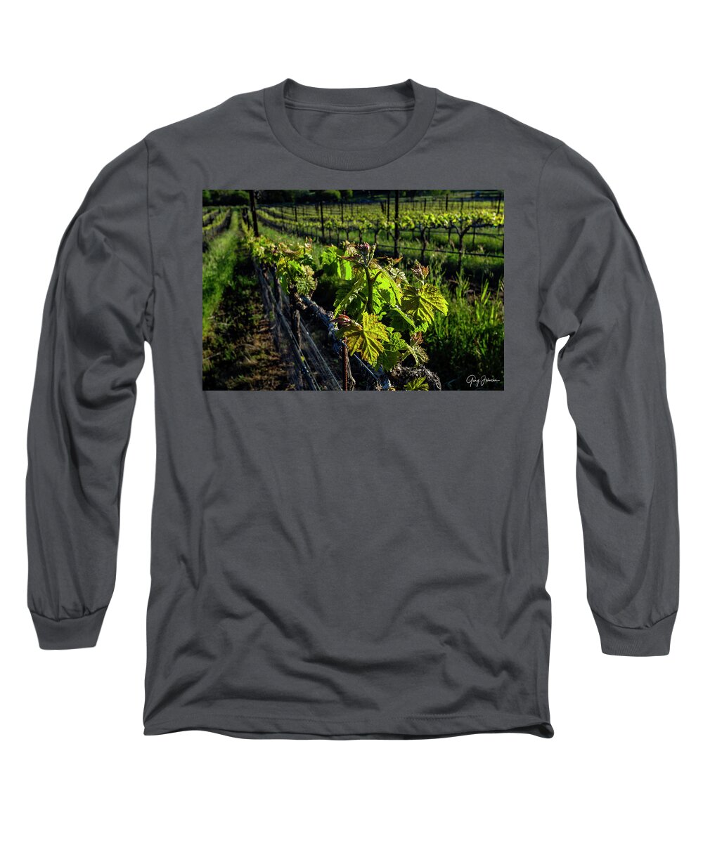 Vineyard Long Sleeve T-Shirt featuring the photograph Gianelli Vineyard 3 by Gary Johnson