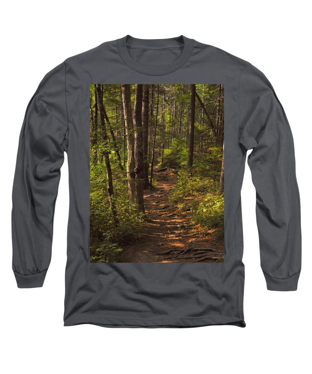 Landscape Long Sleeve T-Shirt featuring the photograph Golden Hour on the Forest Path by Lynda Lehmann