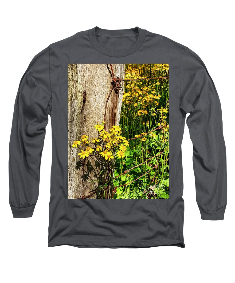 Golden Ragwort Long Sleeve T-Shirt featuring the photograph Golden Ragwort and Fence Post by Thomas R Fletcher