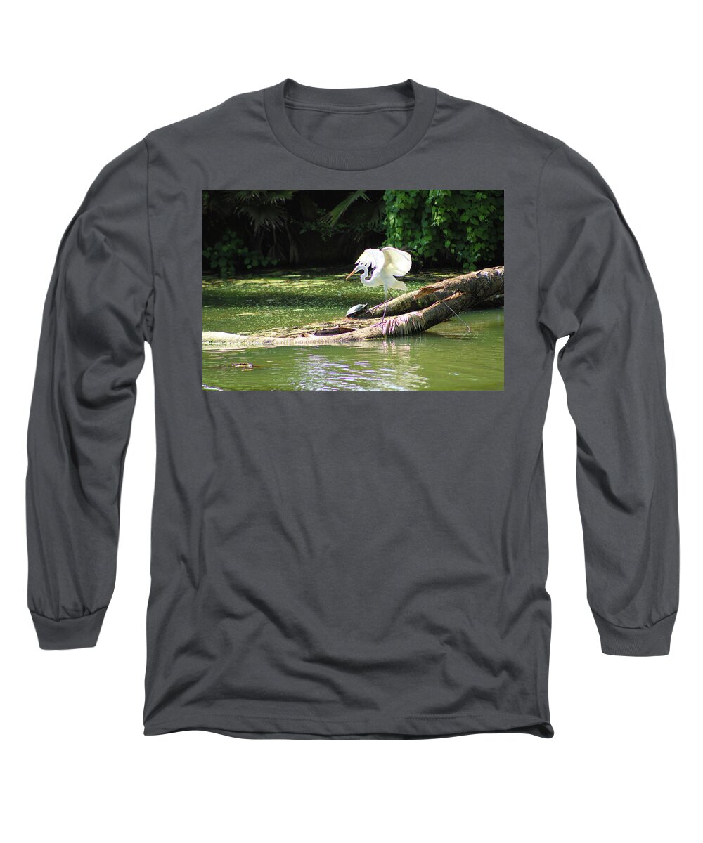 Birds Long Sleeve T-Shirt featuring the photograph Graceful Flight of the Heron by Marcus Jones