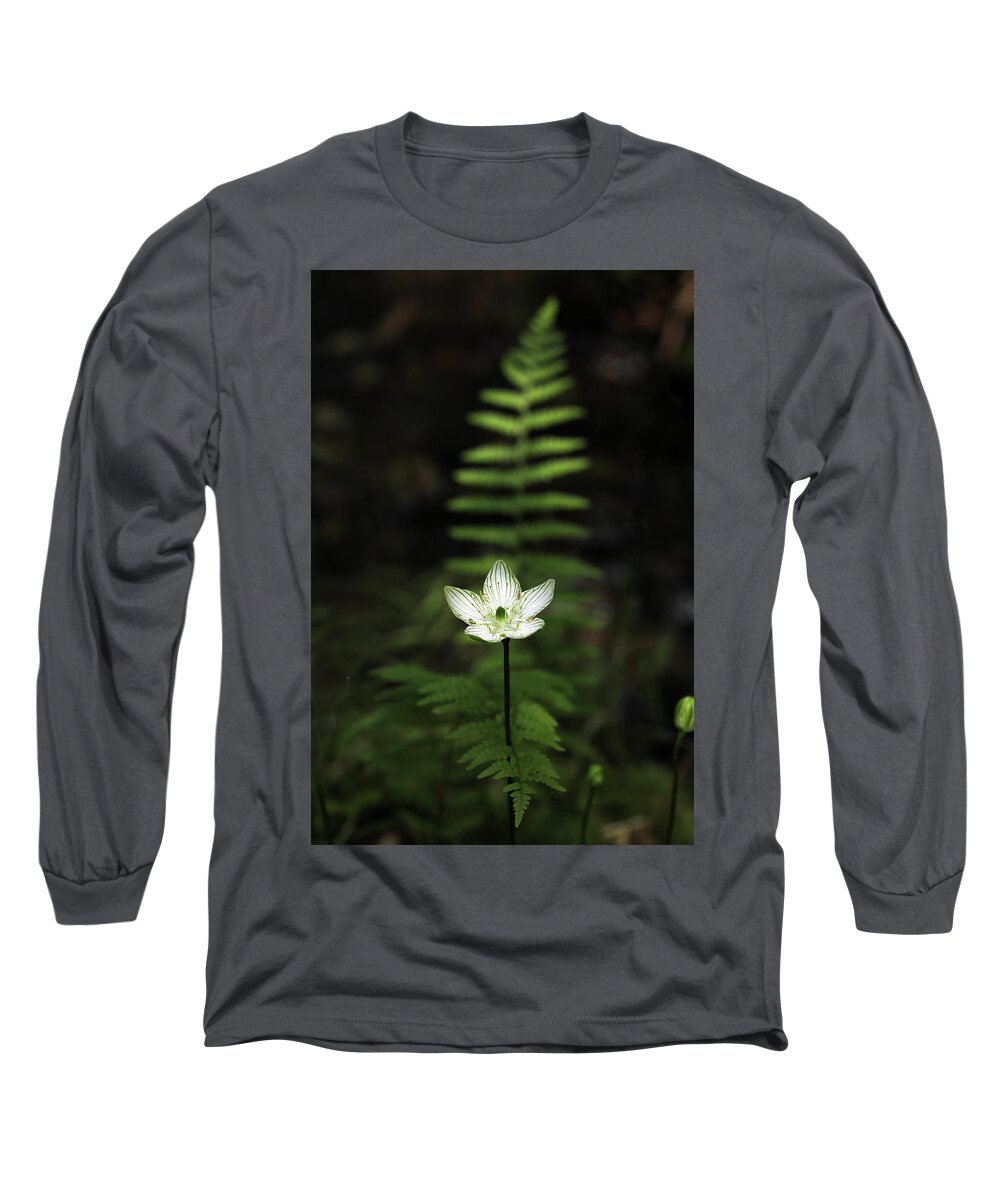  Long Sleeve T-Shirt featuring the photograph Grass-of-Parnassus by William Rainey