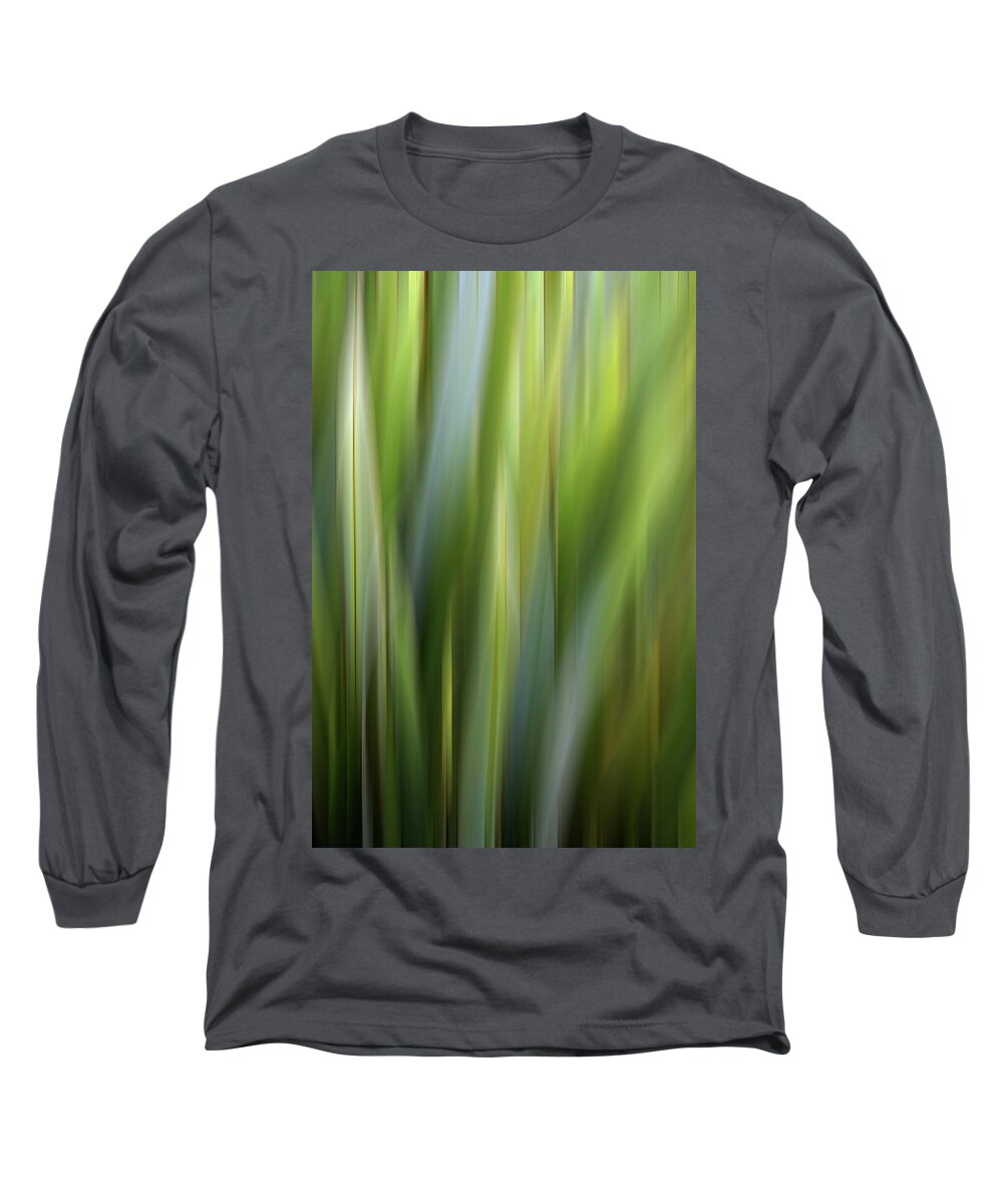 Plants Long Sleeve T-Shirt featuring the photograph Grasses 4 by JustJeffAz Photography