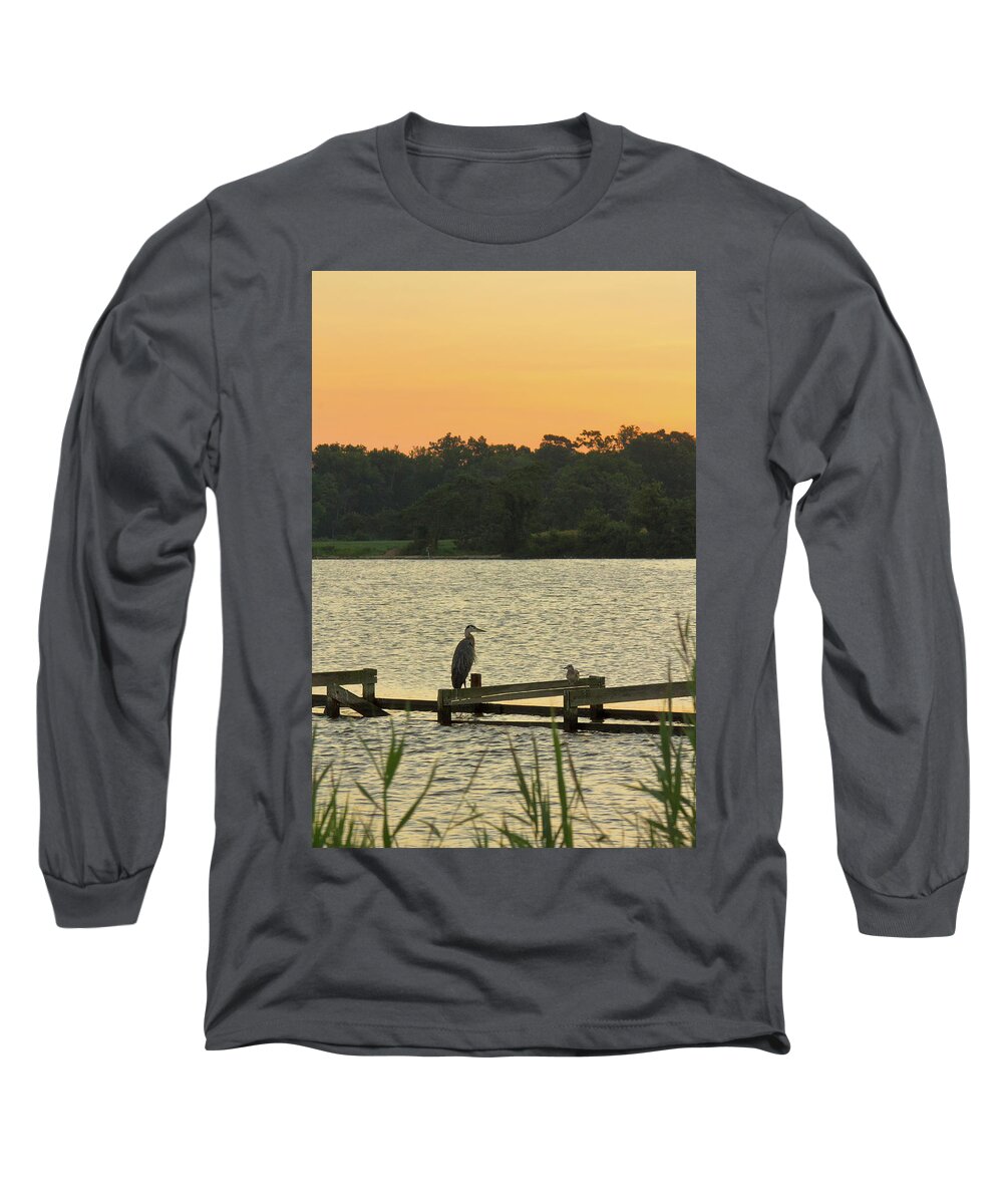 Birds Long Sleeve T-Shirt featuring the photograph Great Blue Heron and Seagull on Old Pier by Charles Floyd