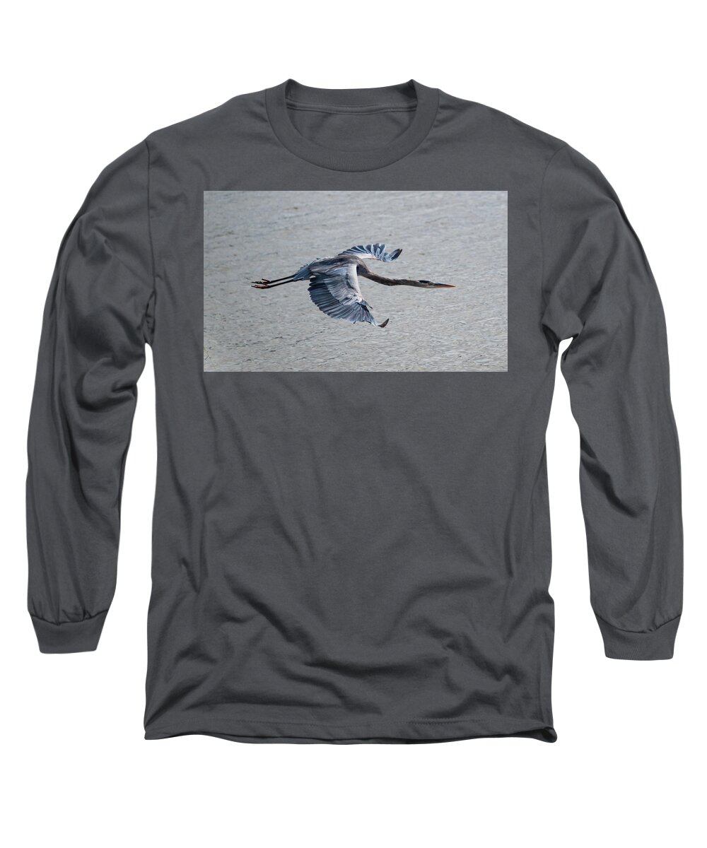 Heron Long Sleeve T-Shirt featuring the photograph Great Blue Heron In Flight by Grant Twiss