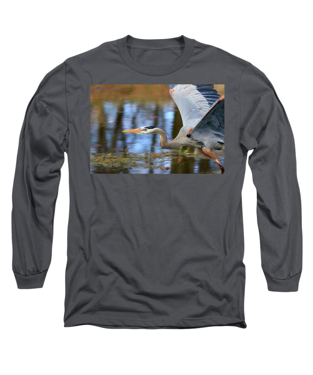 Great Blue Heron Long Sleeve T-Shirt featuring the photograph Great Blue Heron in Flight by Shixing Wen