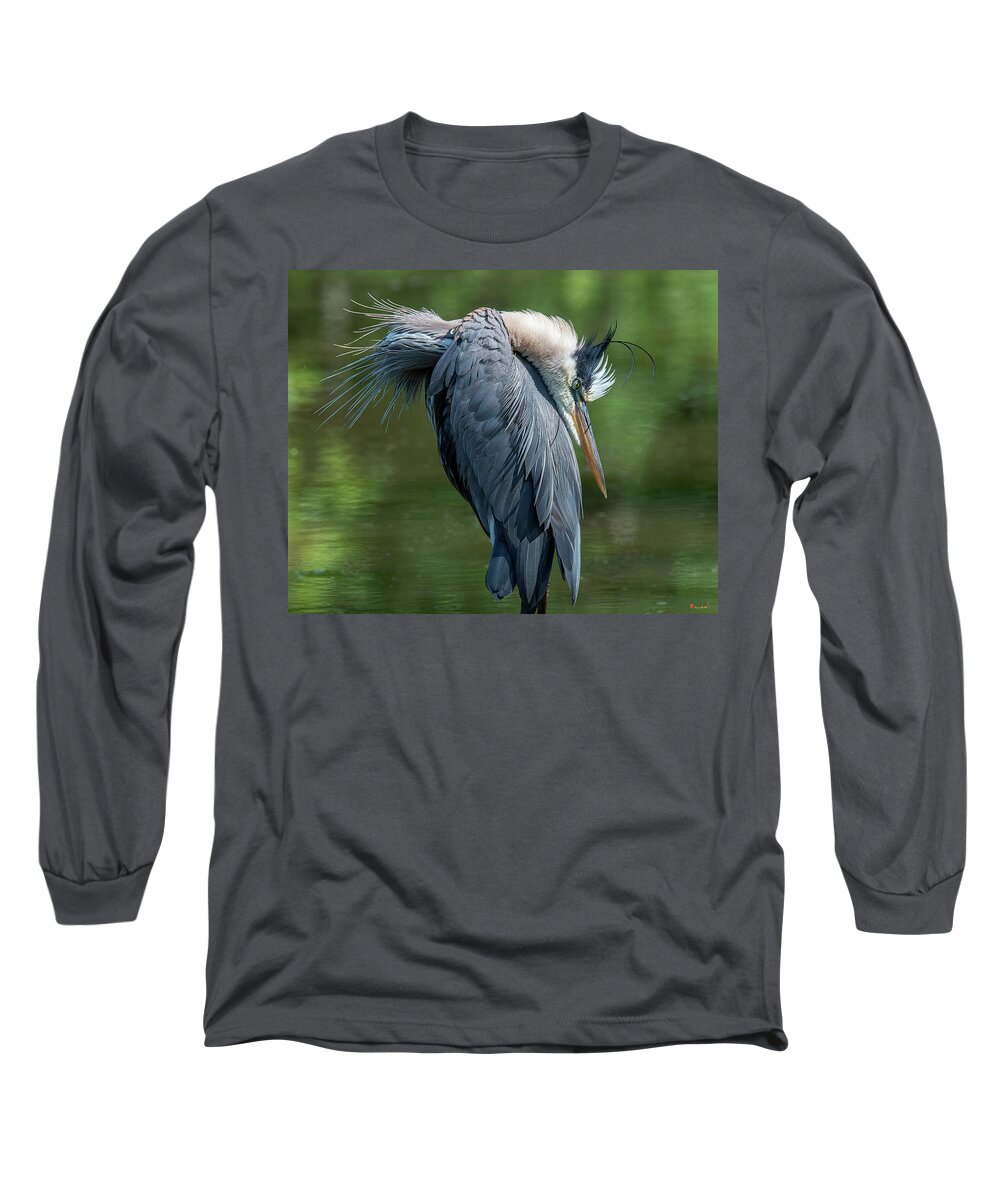 Nature Long Sleeve T-Shirt featuring the photograph Great Blue Heron Preening DMSB0155 by Gerry Gantt