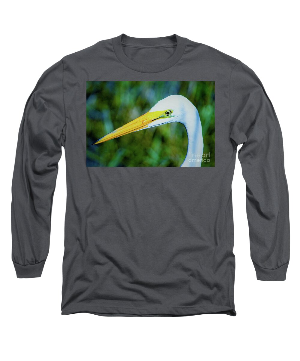 Great White Egret Long Sleeve T-Shirt featuring the photograph Great white egret profile in arctic blues by Joanne Carey